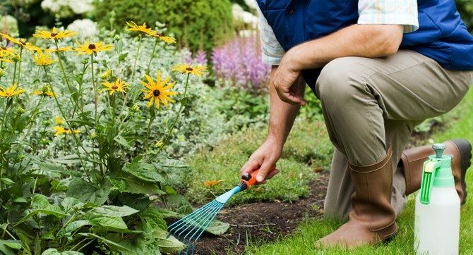 gardening services