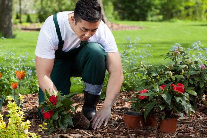 gardening services