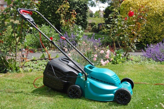 grass cutting