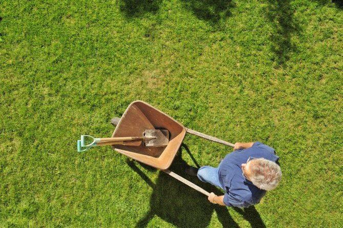 lawn restoration