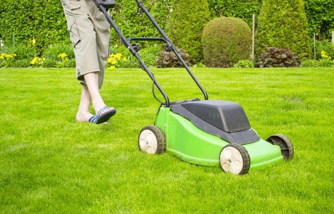 grass cutting