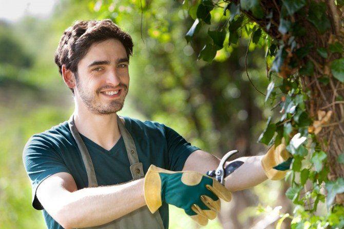 gardening experts