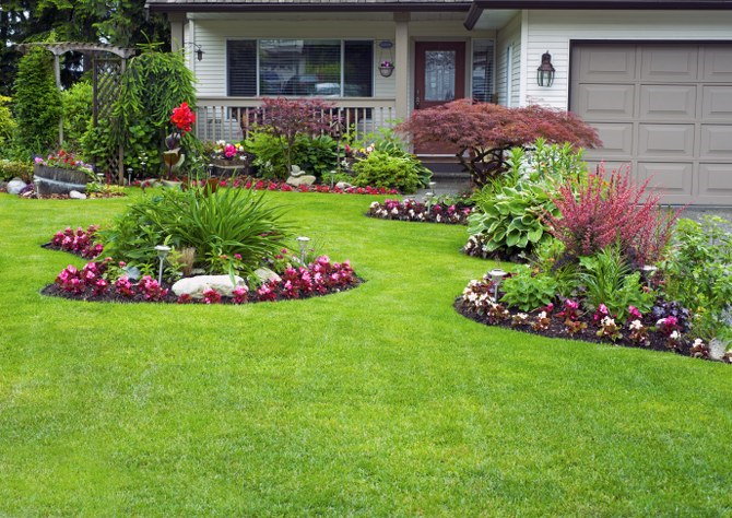 flower gardening