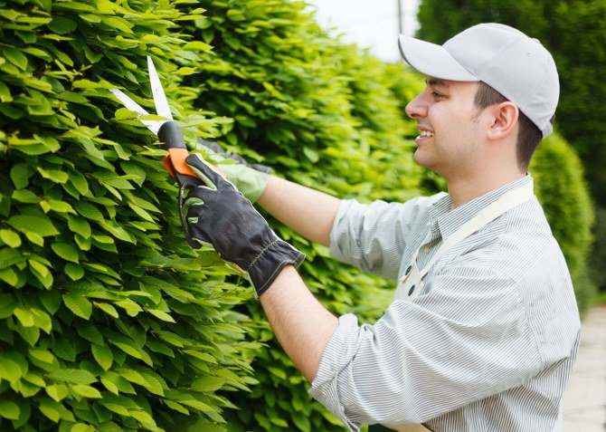 gardening experts