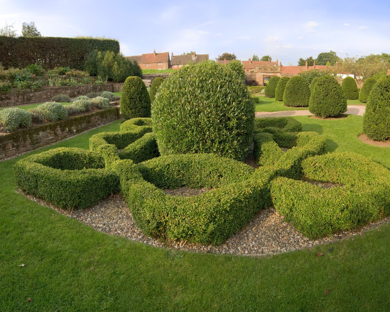 garden planting