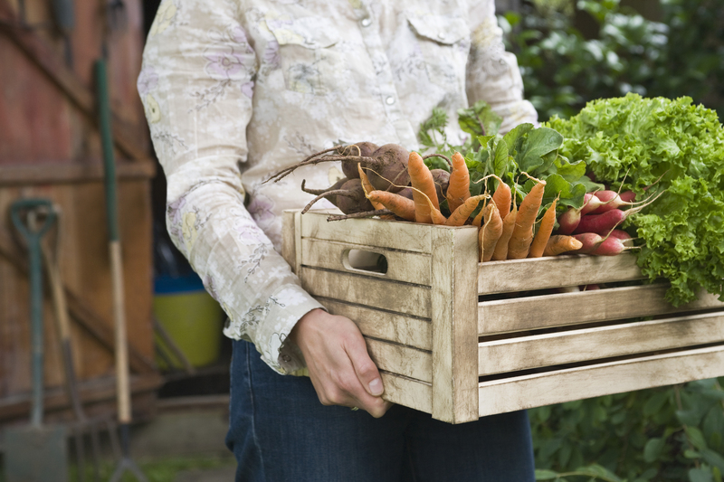 lawn care garden