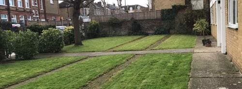 HA1 maintaining lawns West Harrow