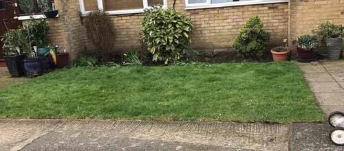 IG10 commercial garden maintenance