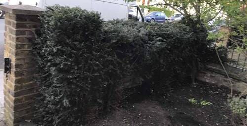 NW4 commercial garden maintenance