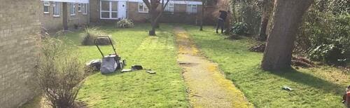 East Dulwich lawn landscaping services