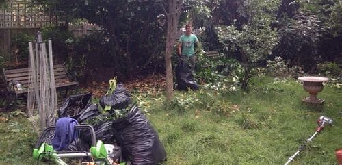 Buckhurst Hill shrubs pruning IG9