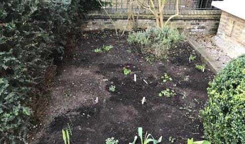 SE4 gardener service Ladywell