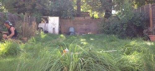 Stanmore gardening services HA7