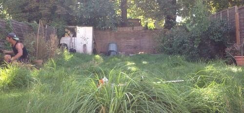 The Burroughs gardening services NW4