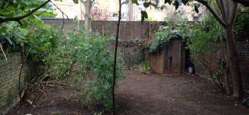 Walworth garden design service SE17